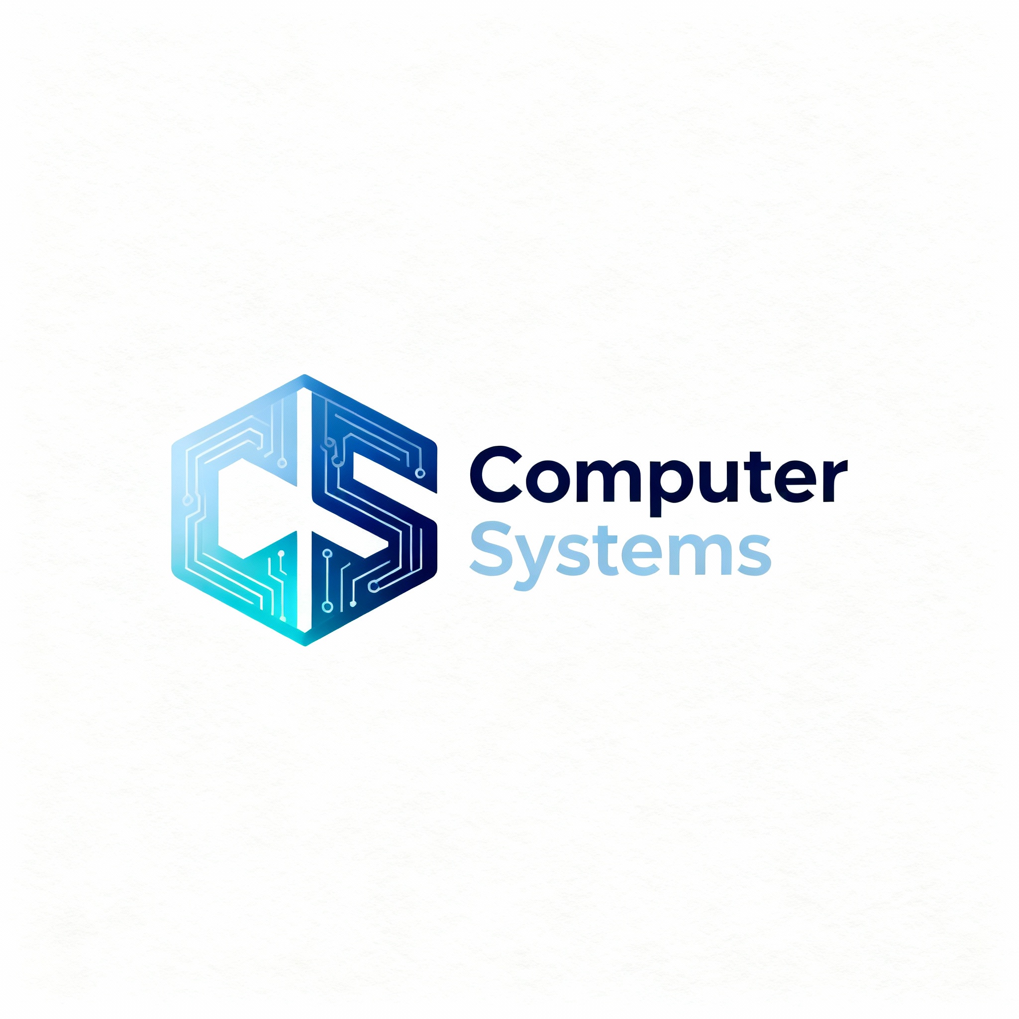 Computer Systems